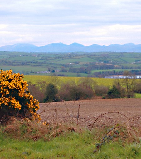 Rural Building Plot Rural Building Plot
